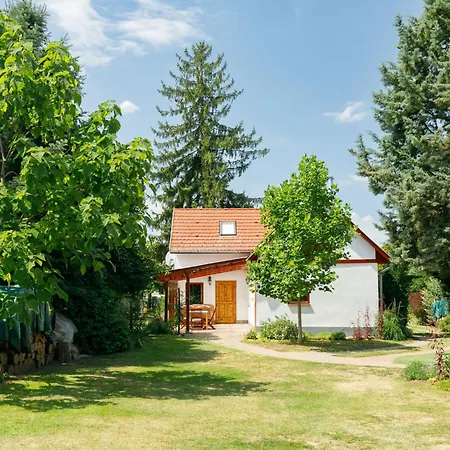 Magnolia By Interhome Holiday home Latrany